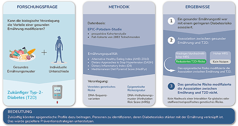 Infografik mit Forschungsfrage, Methodik und Ergebnissen zur biologischen Veranlagung und Ernährung bei Typ-2-Diabetes mit Diagrammen und Textfeldern.