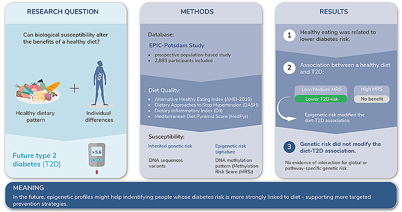 Infographic showing research question, methodology, and results on genetic predisposition and diet in type 2 diabetes with diagrams and text boxes.