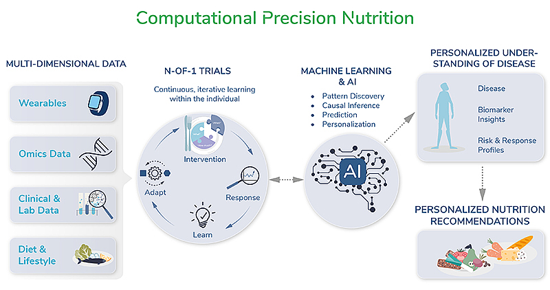 Graphical overview of computational precision nutrition showing multidimensional data (wearables, omics data, clinical and lab data, nutrition and lifestyle), a cycle for N-of-1 trials (intervention, adjustment, learning, response), machine learning and AI (pattern recognition, causal inference, prediction, personalization), personalized disease understanding (disease, biomarker insights, risk and response profiles), and personalized nutrition recommendations with food items.