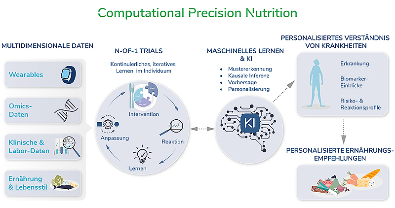 Grafische Übersicht zu Computational Precision Nutrition mit Symbolen für multidimensionale Daten (Wearables, Omics-Daten, klinische und Labordaten, Ernährung und Lebensstil), einem Kreislauf für N-of-1-Studien (Intervention, Anpassung, Lernen, Reaktion), maschinellem Lernen und KI (Mustererkennung, kausale Inferenz, Vorhersage, Personalisierung), personalisiertem Krankheitsverständnis (Erkrankung, Biomarker-Einblicke, Risiko- und Reaktionsprofile) und personalisierten Ernährungsempfehlungen mit Lebensmitteln.
